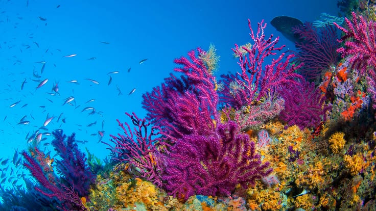 𝒍𝒖𝒏𝒂 tweet media