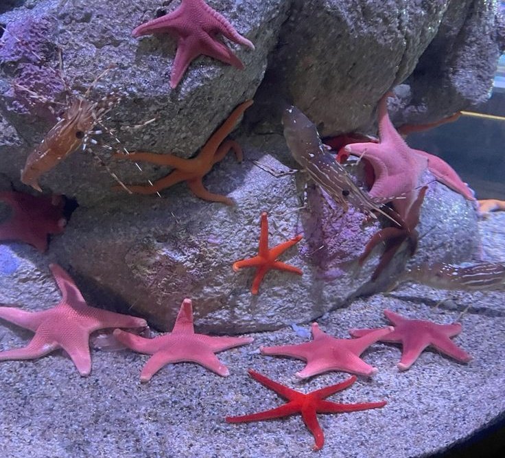 𝒍𝒖𝒏𝒂 tweet media