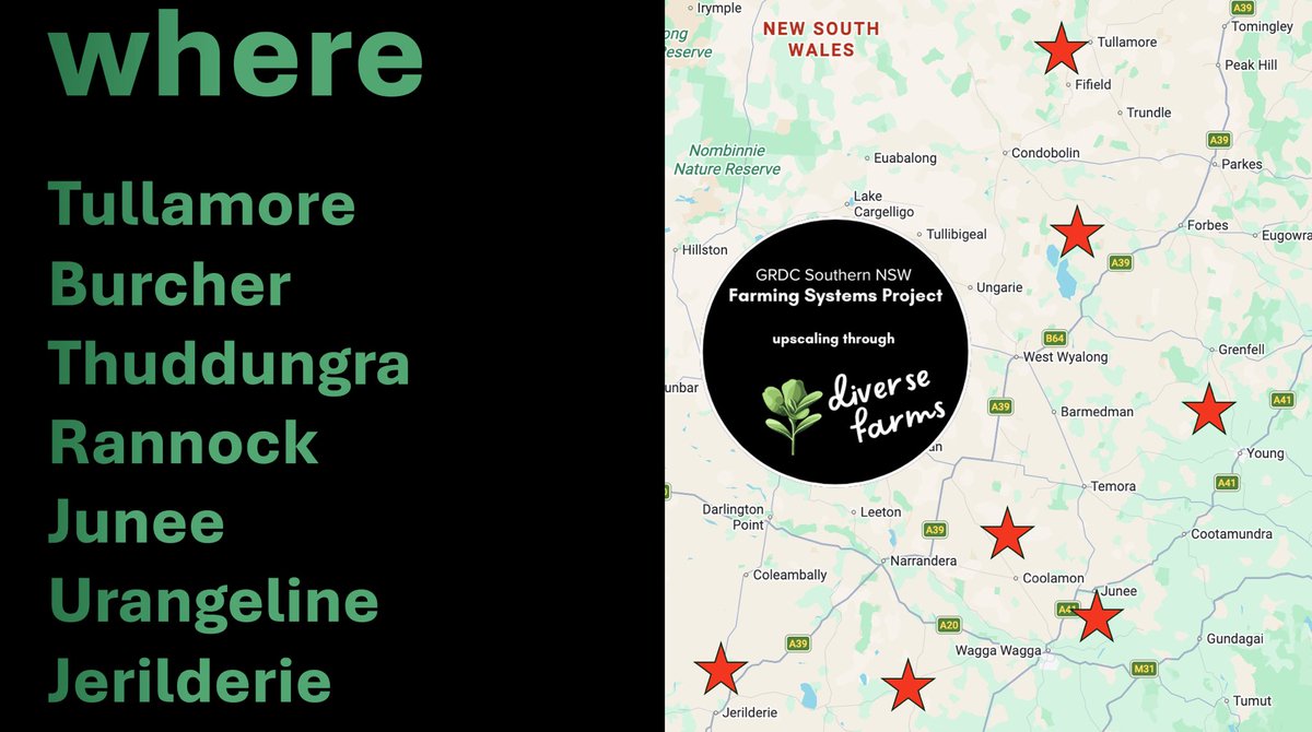 Grassroots Agronomy tweet media