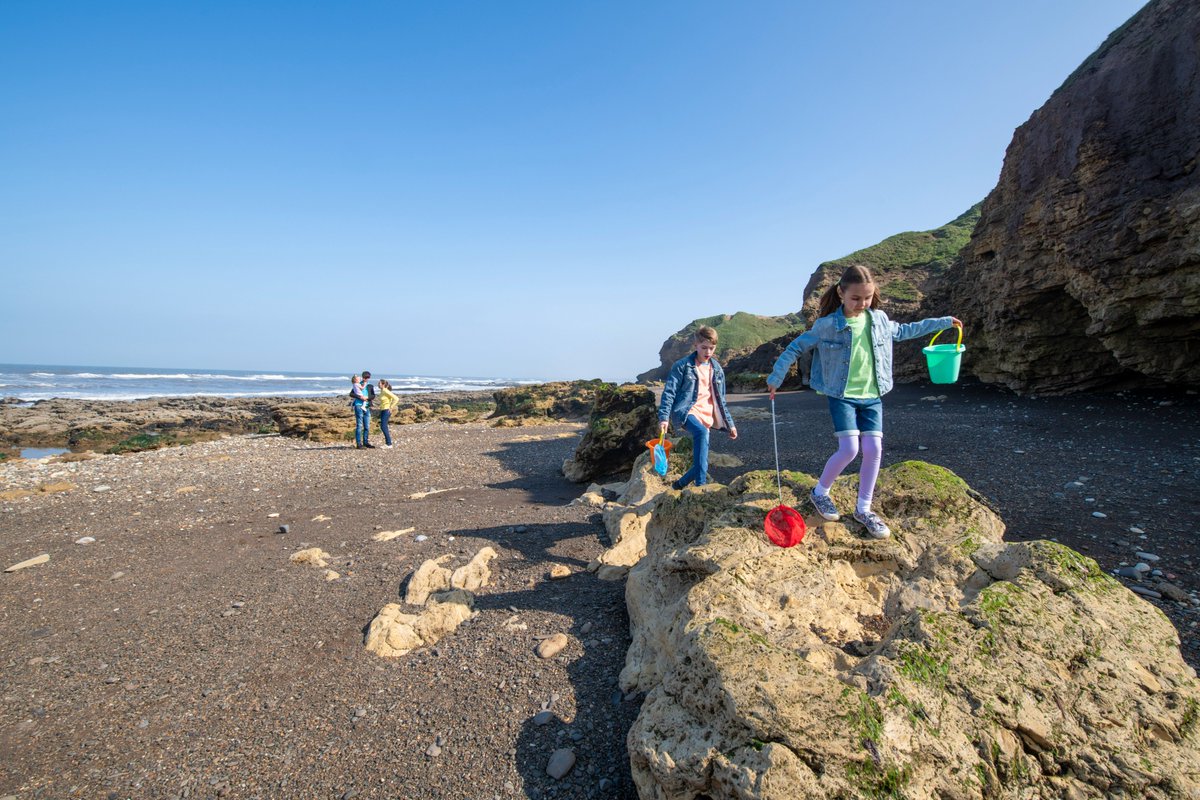 This is Durham tweet media