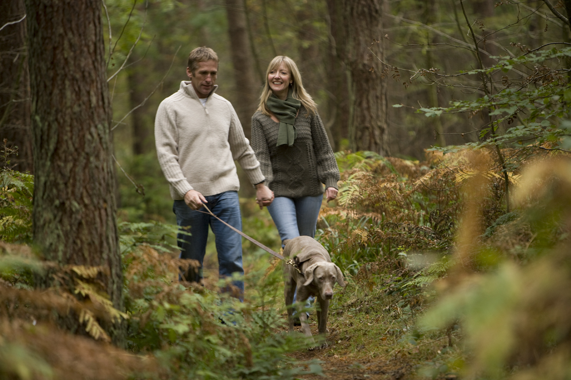 This is Durham tweet media