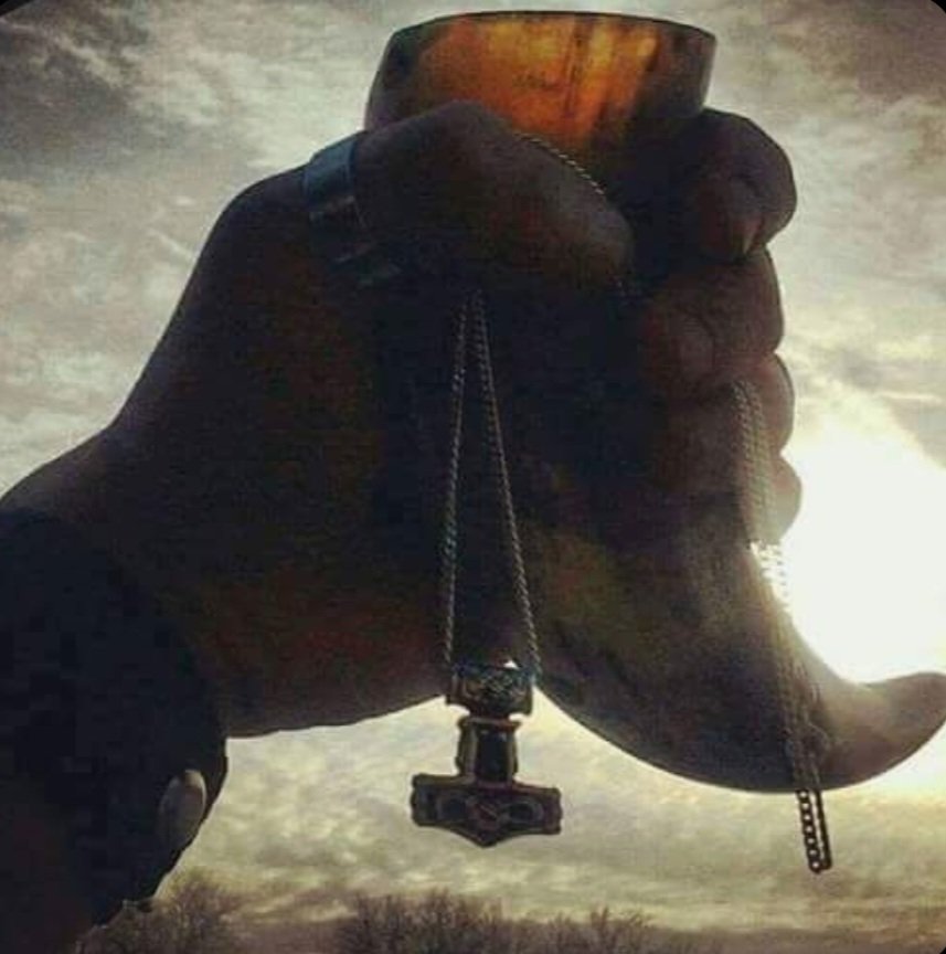 Solciré tweet media