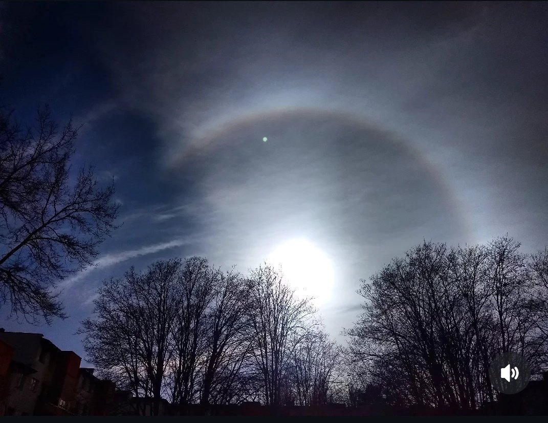 Jessica Heindorff tweet media