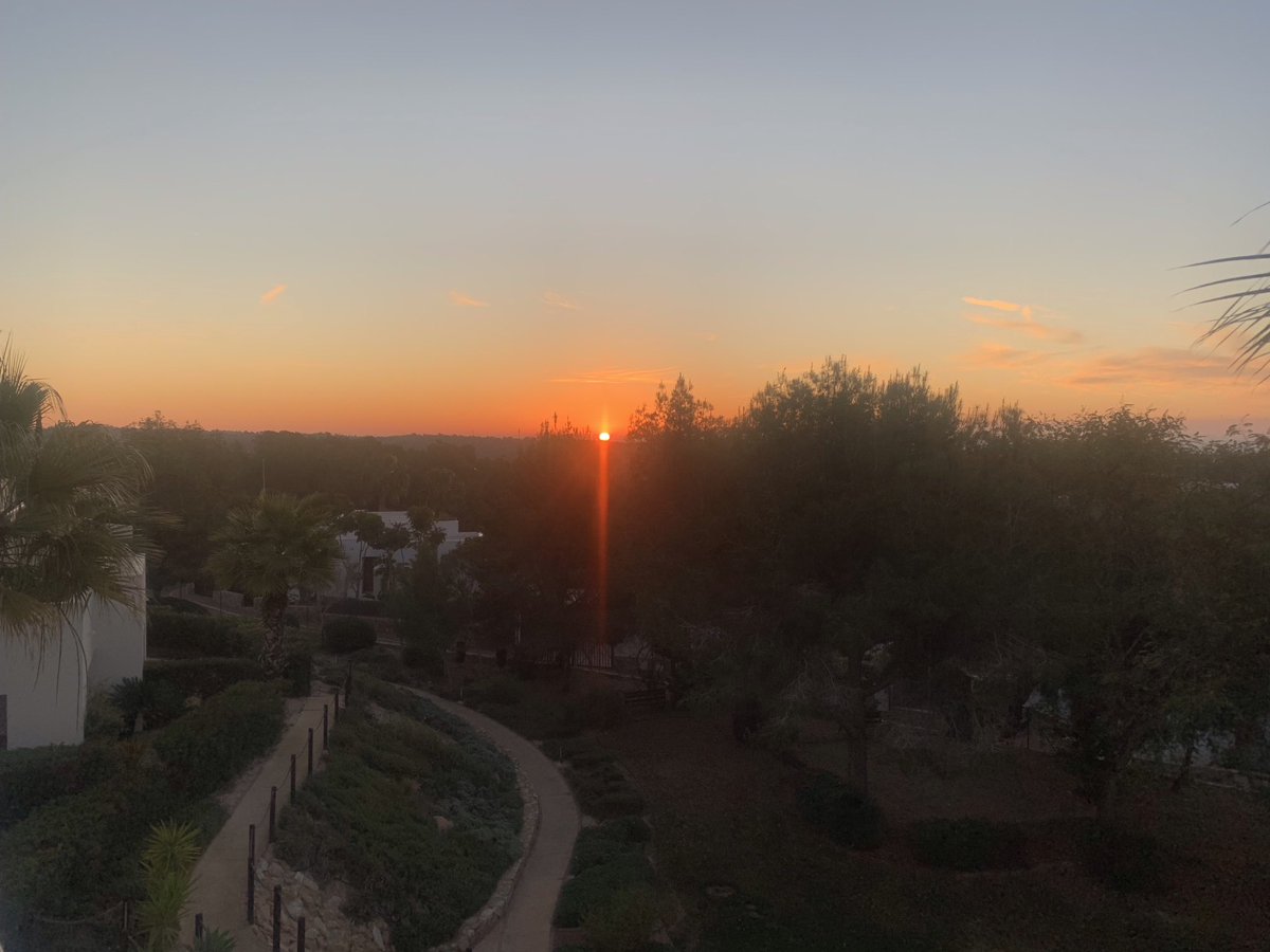 Andrew Y Johnston tweet media