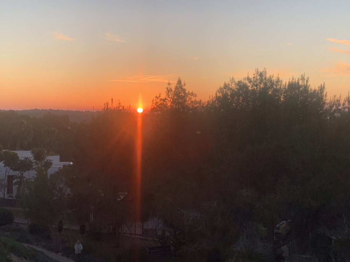 Andrew Y Johnston tweet media