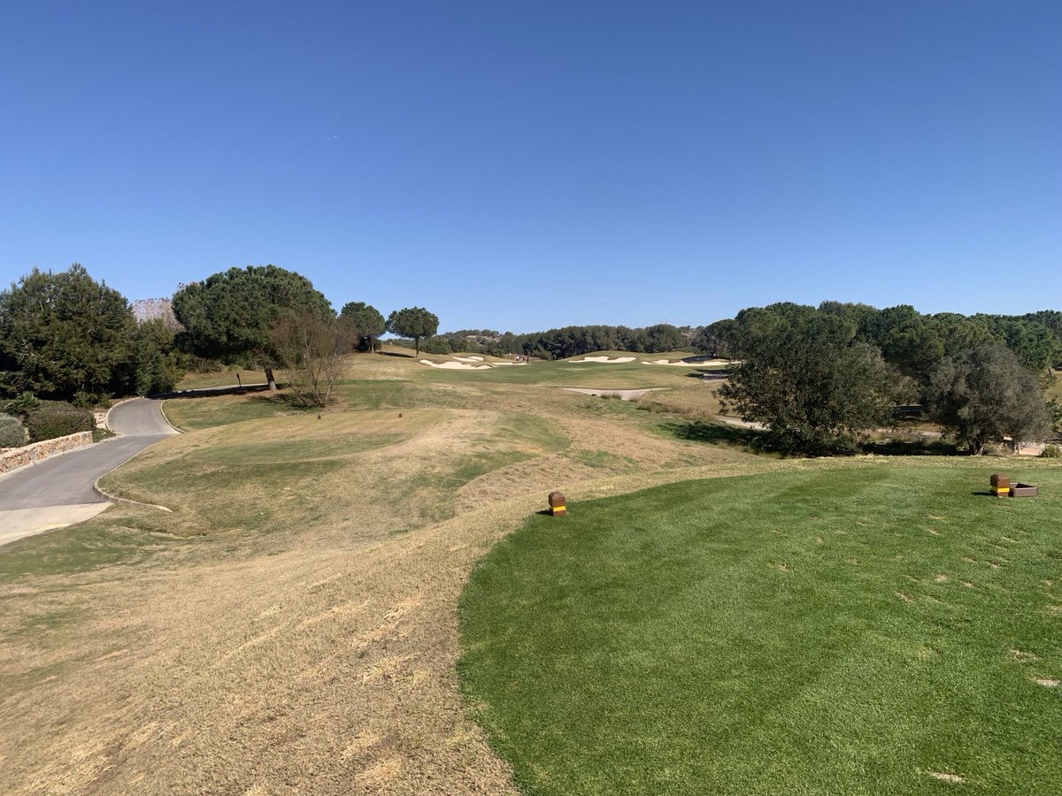 Andrew Y Johnston tweet media