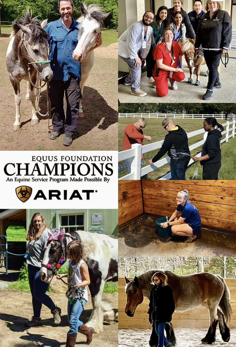 EQUUS Foundation tweet media