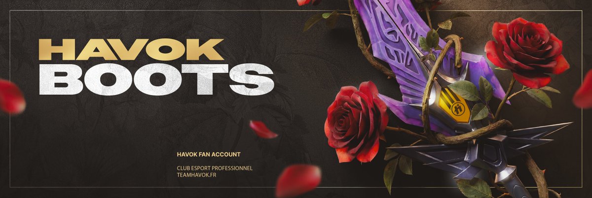 Team HavoK tweet media