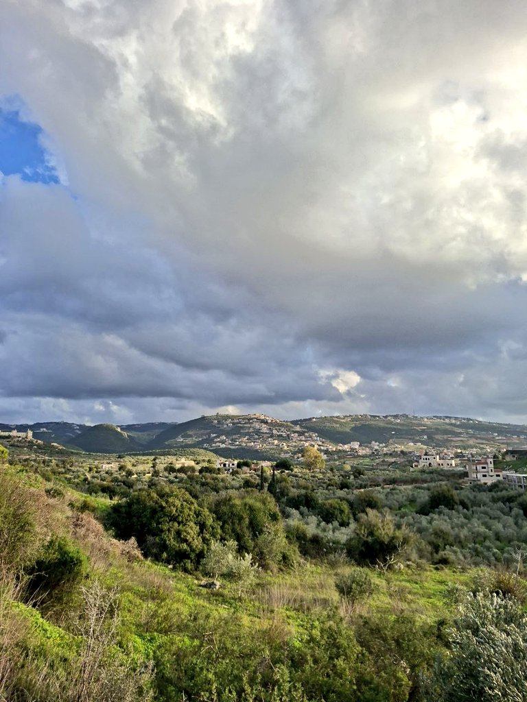 مُحَمَّد هِرَوِي tweet media