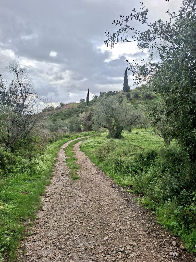 مُحَمَّد هِرَوِي tweet media