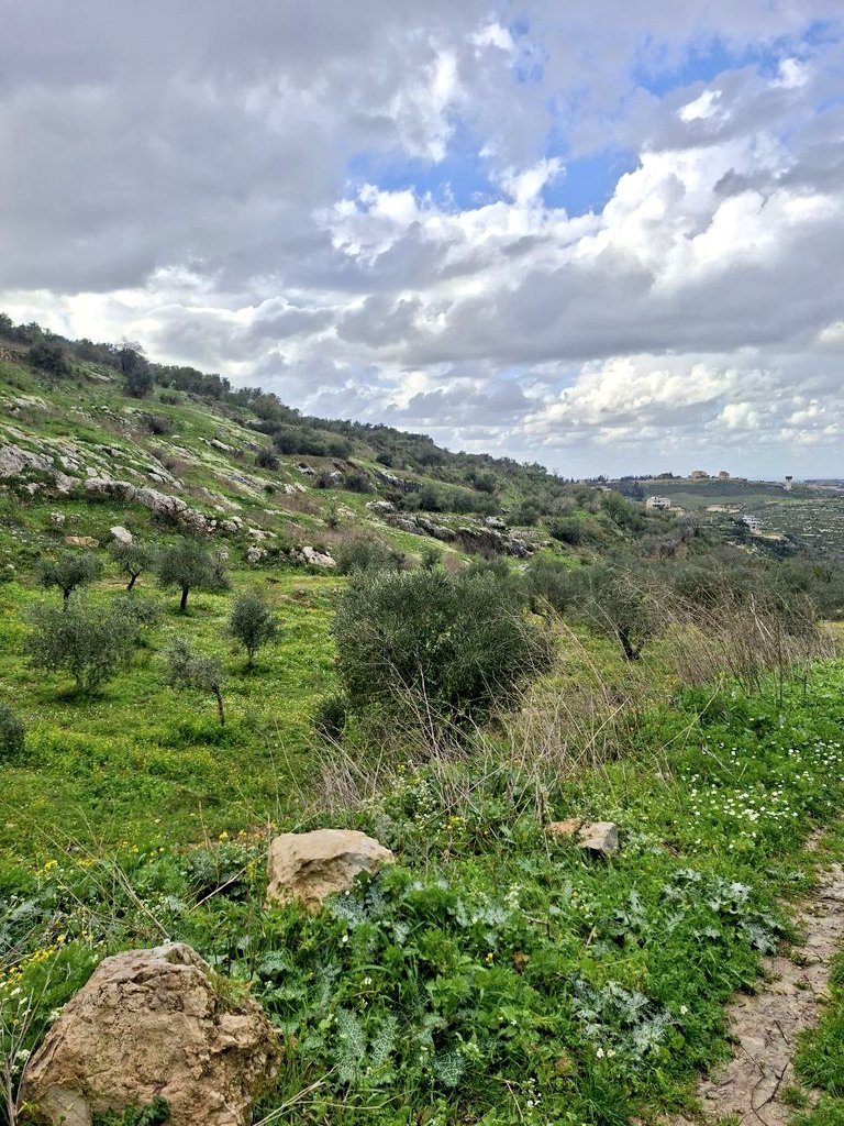 مُحَمَّد هِرَوِي tweet media