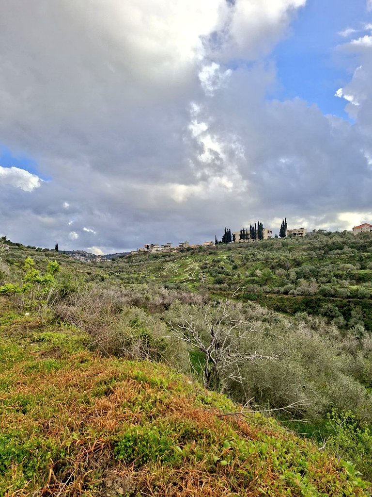 مُحَمَّد هِرَوِي tweet media