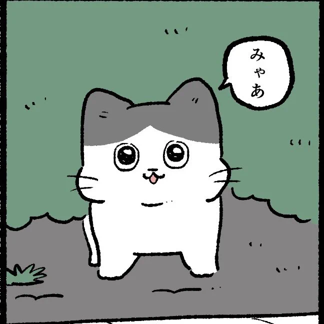 やじま@ねこおじ7・8巻発売中🐱 on X: 