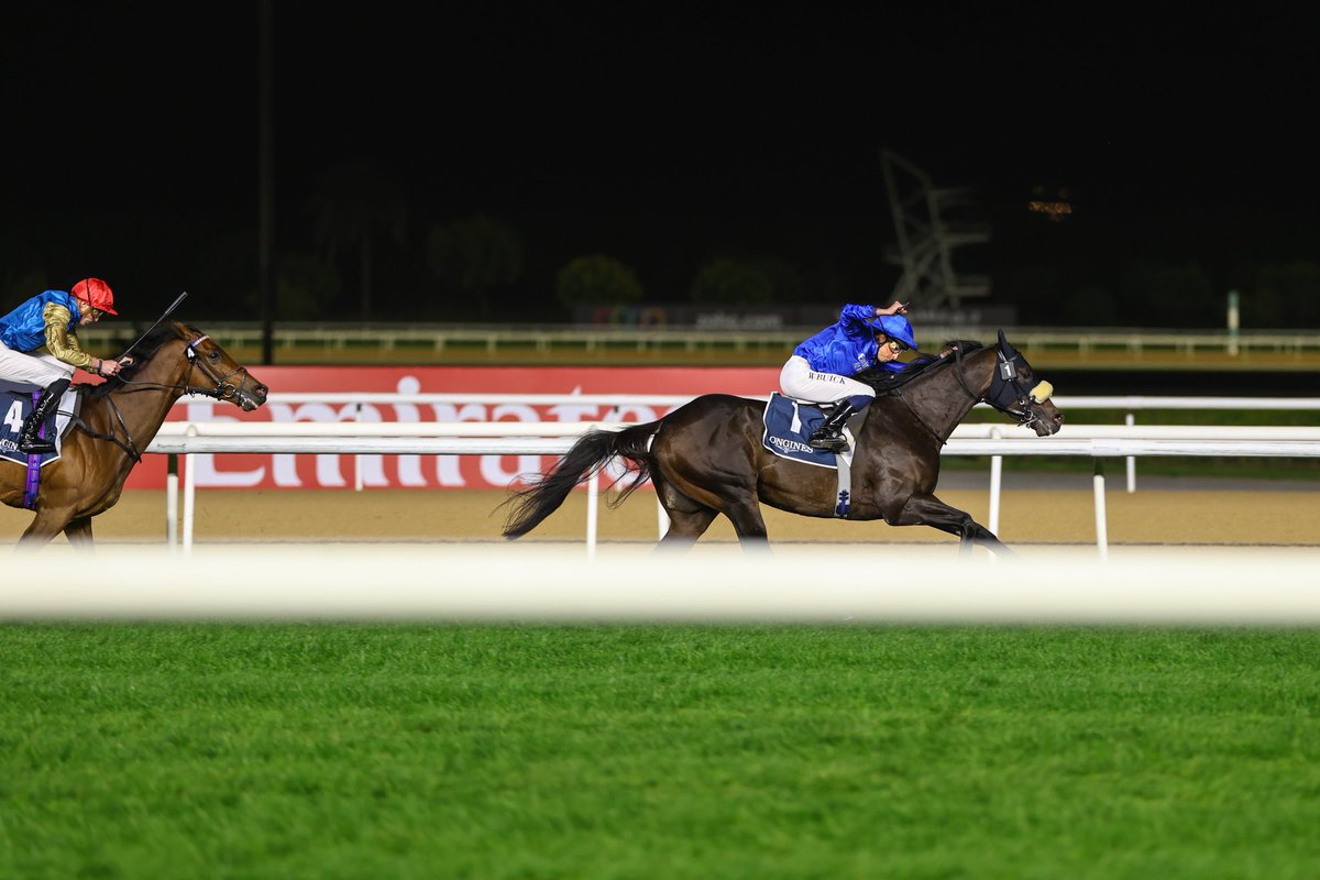 m.a.orfe2012.2013 tweet media