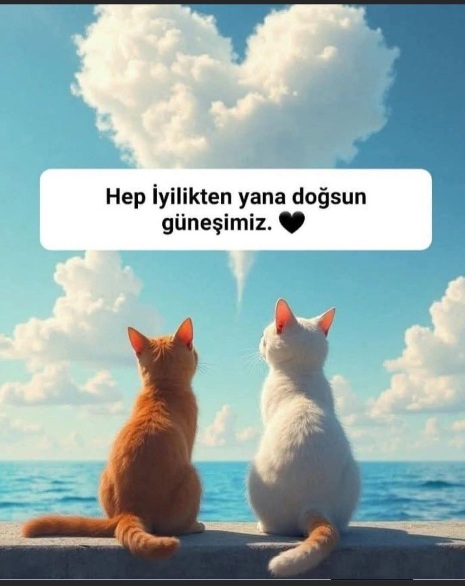 Ekrem Şahin (@sekrem887) on Twitter photo 