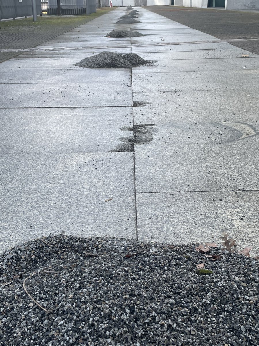 WeckTom's tweet photo. Prähistorische Steingräber in Berlin entdeckt https://t.co/9WjyXysJEl