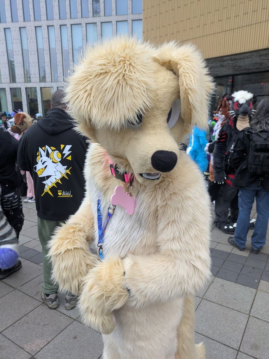 🏴󠁧󠁢󠁷󠁬󠁳󠁿 Kodi 🏳️‍🌈 tweet media