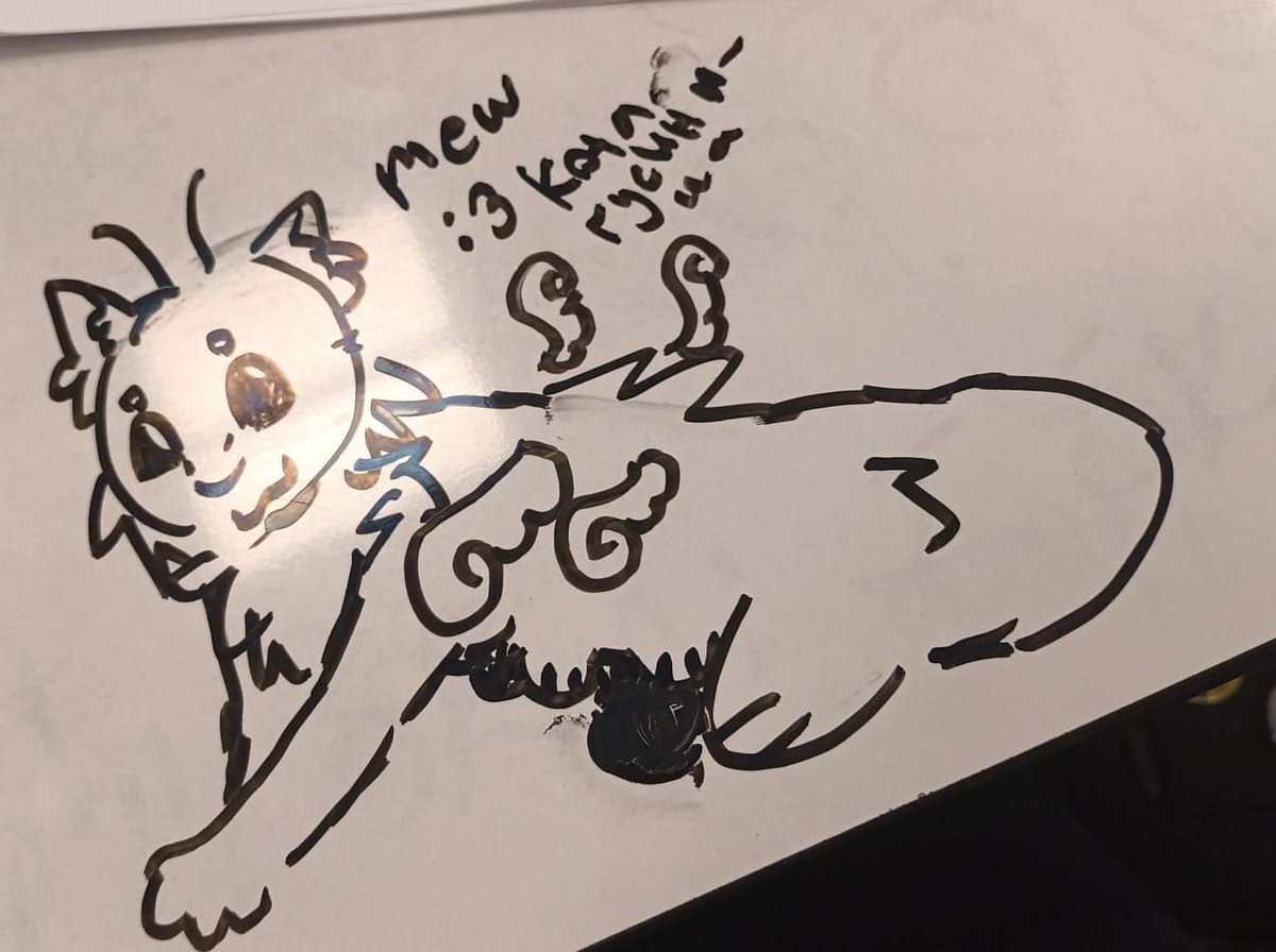 gamm4raysRa's tweet photo. SCUGS + ONE OF MY NEW FURSONAS (old desing)
#rainworld #ocs https://t.co/TOUgLQHxM5