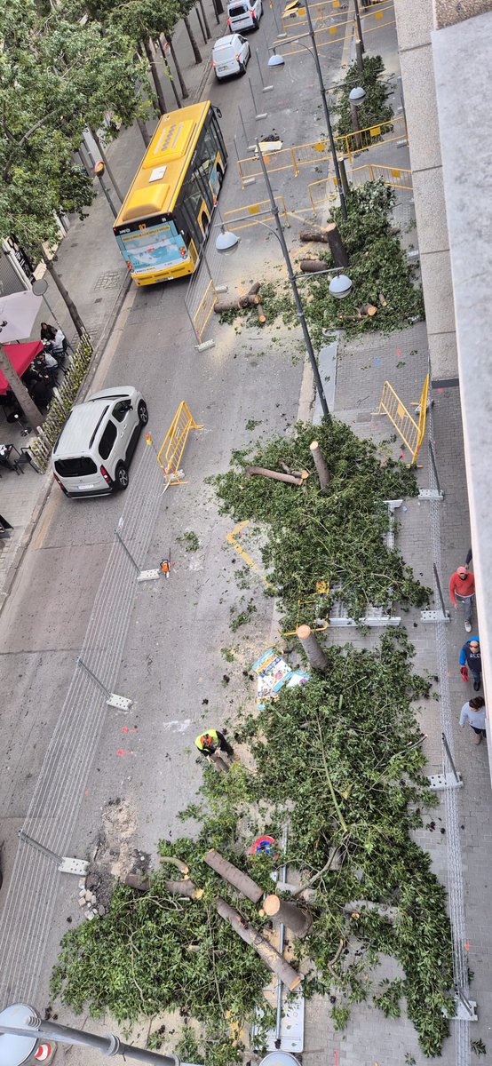 Defensemcalarnus tweet media