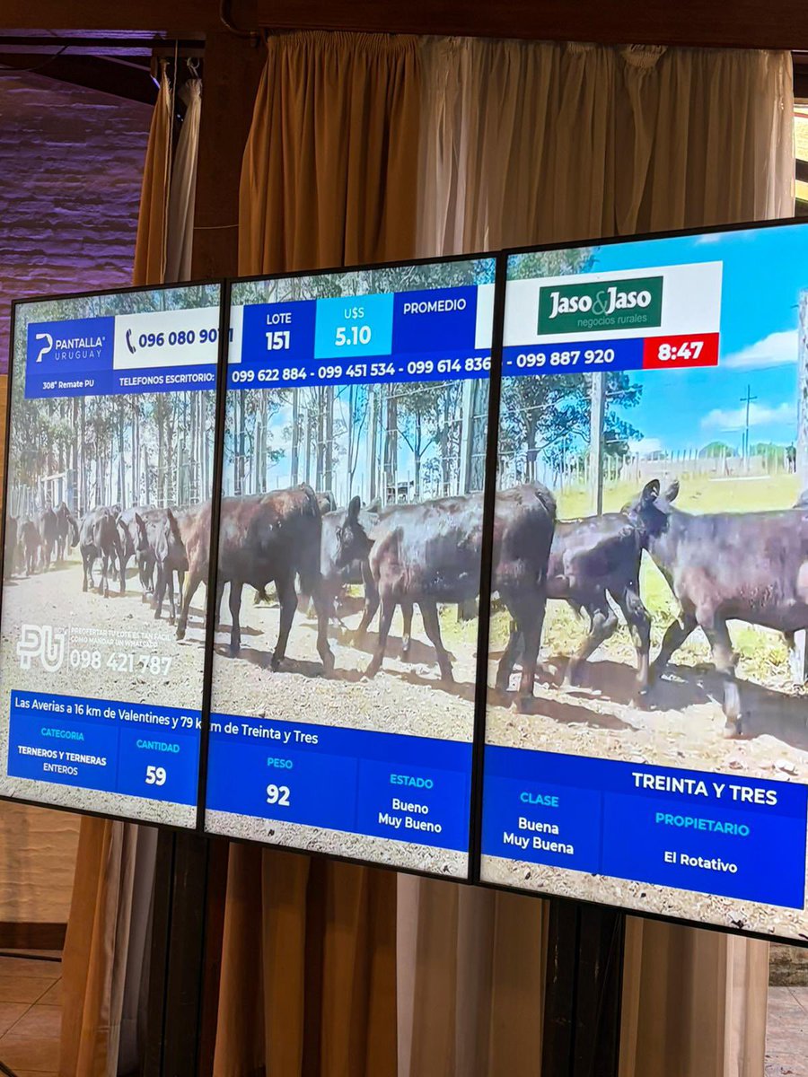 Jaso & Jaso tweet media