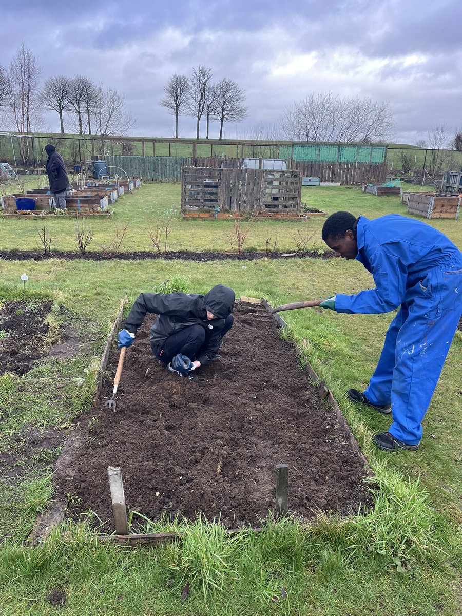 MrnicolN's tweet photo. Much less cold at the @SpringhillComm1 today. It was nice to weed our veg patch in preparation for new planting. Sunny days coming soon. @northfieldaca https://t.co/235J46yQb5