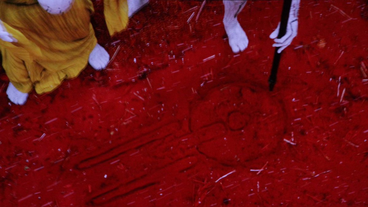 Robin Frischkopf tweet media