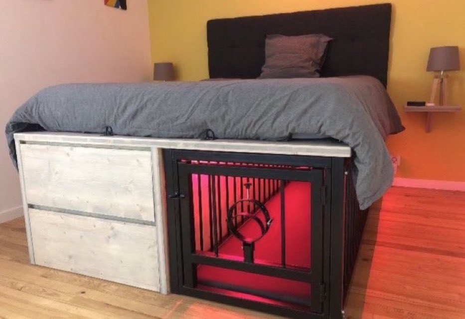 Master Domador tweet media