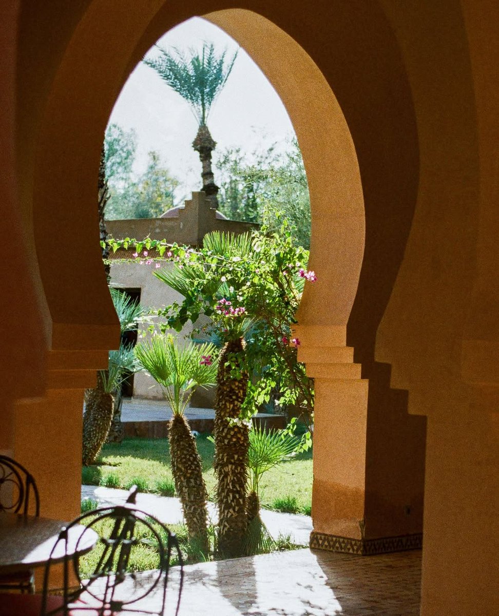 BlueVanilla tweet media