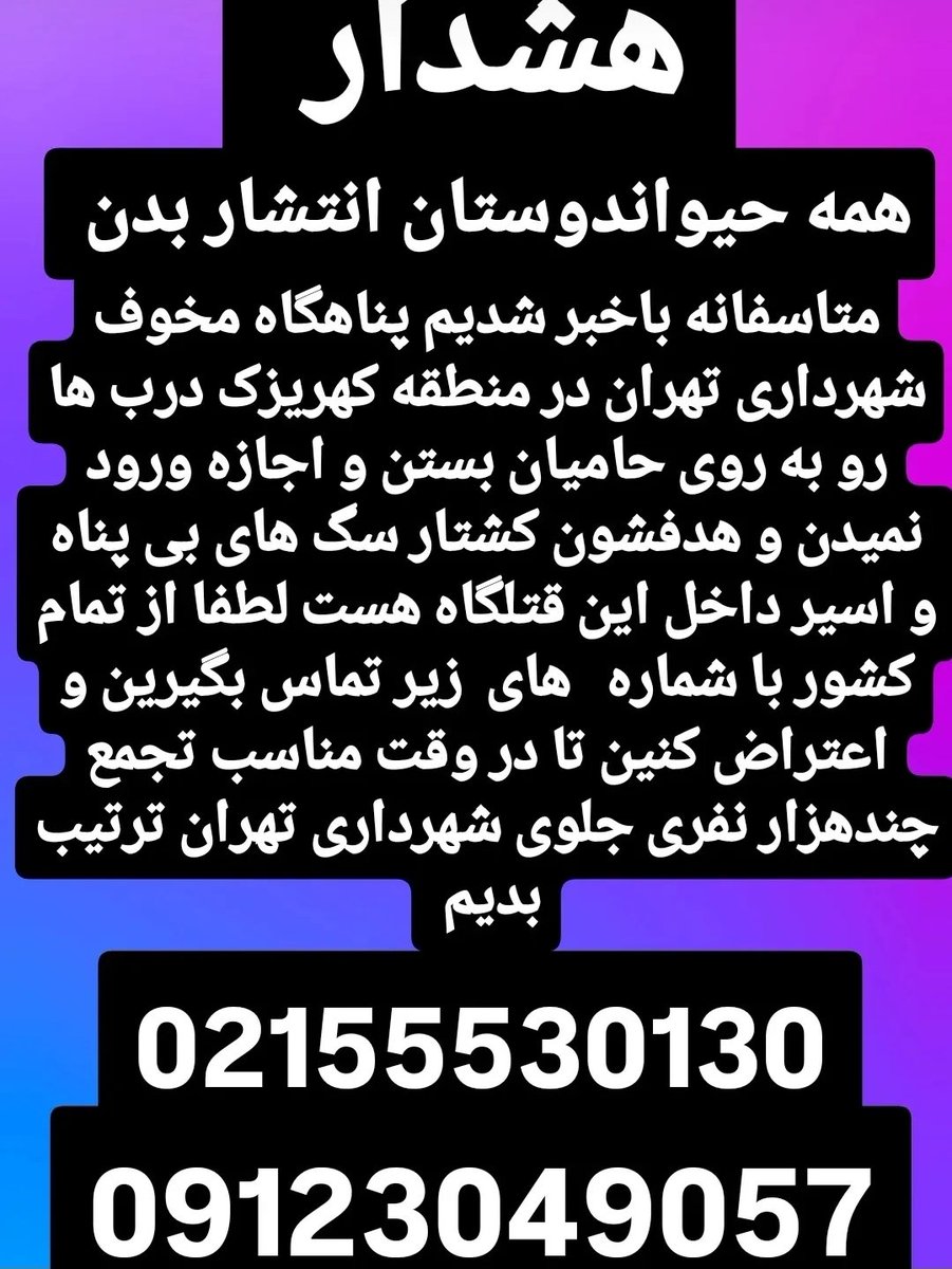 برای گربه های بومی tweet media