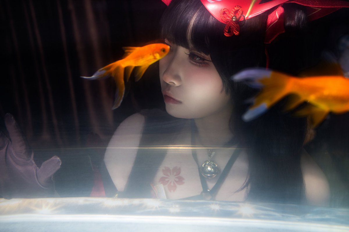 고야📷 tweet media