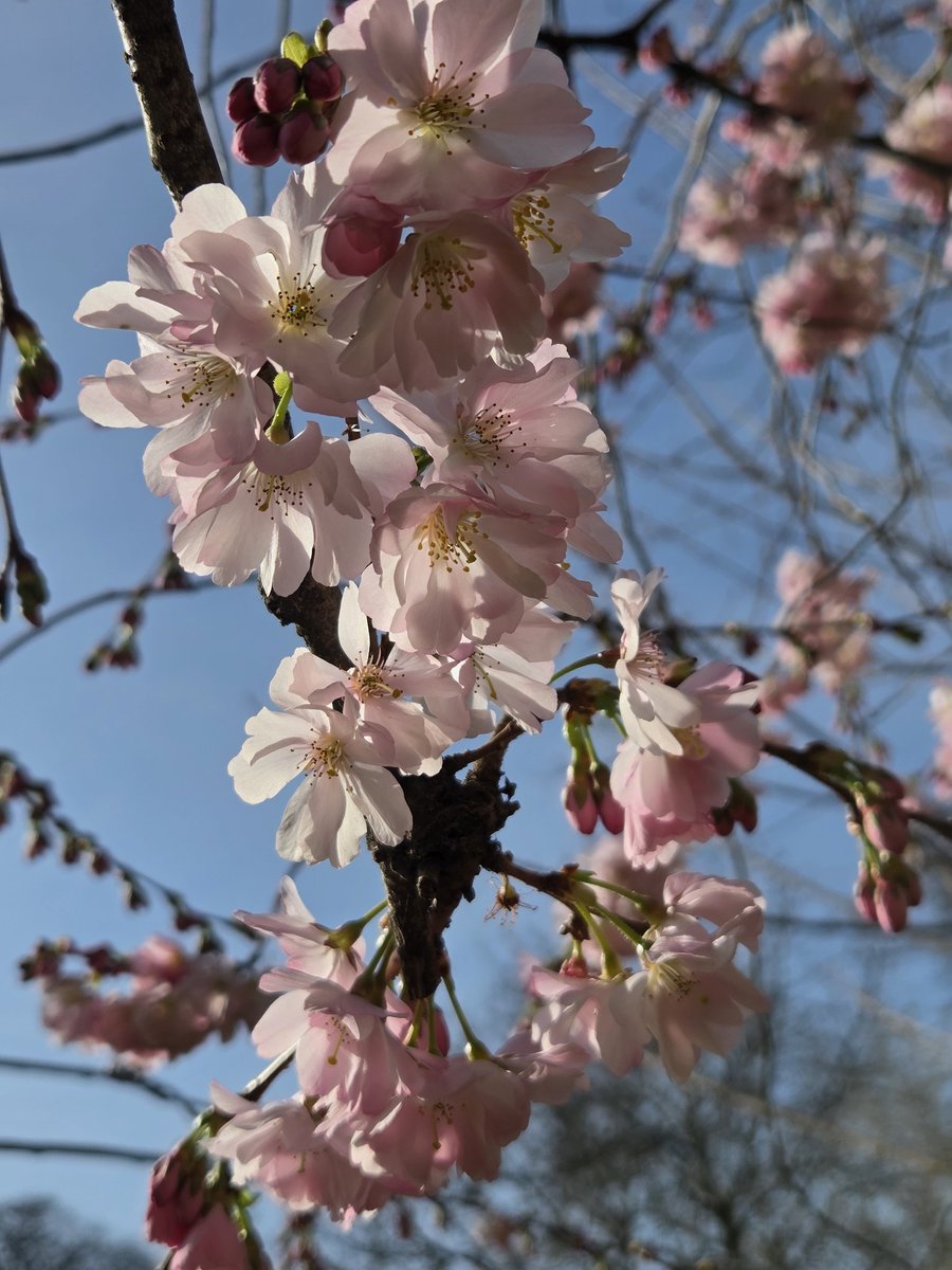 ✨Lyly✨ tweet media