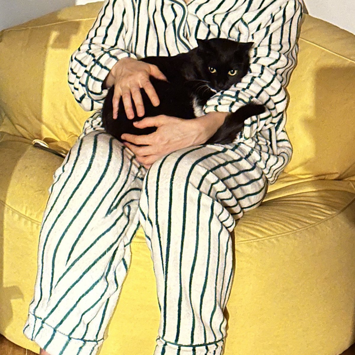 가족찾는 궁이🖤 tweet media