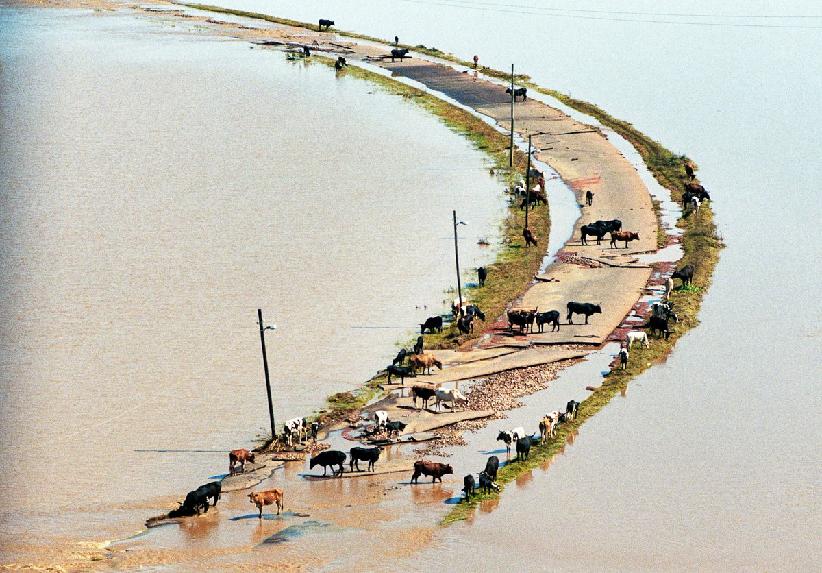 Aga Khan Development Network tweet media