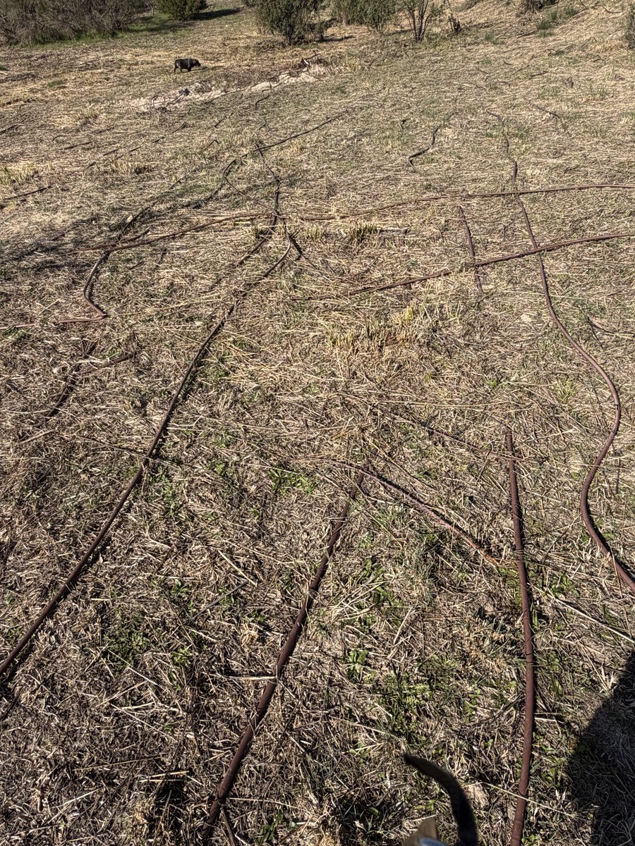 ATOSTON's tweet photo. Sigue la poda, esto se está pasando de castaño oscuro están arrasando, es un heríal @SanseQuejas @IISanse @PodemosEnSanse lo mismo es mi desconocimiento pero hace un año paseaba ente vegetación hoy no queda nada todo está talado y desbrozado, hay varias dotaciones arrasando hoy https://t.co/764EDX5TJi