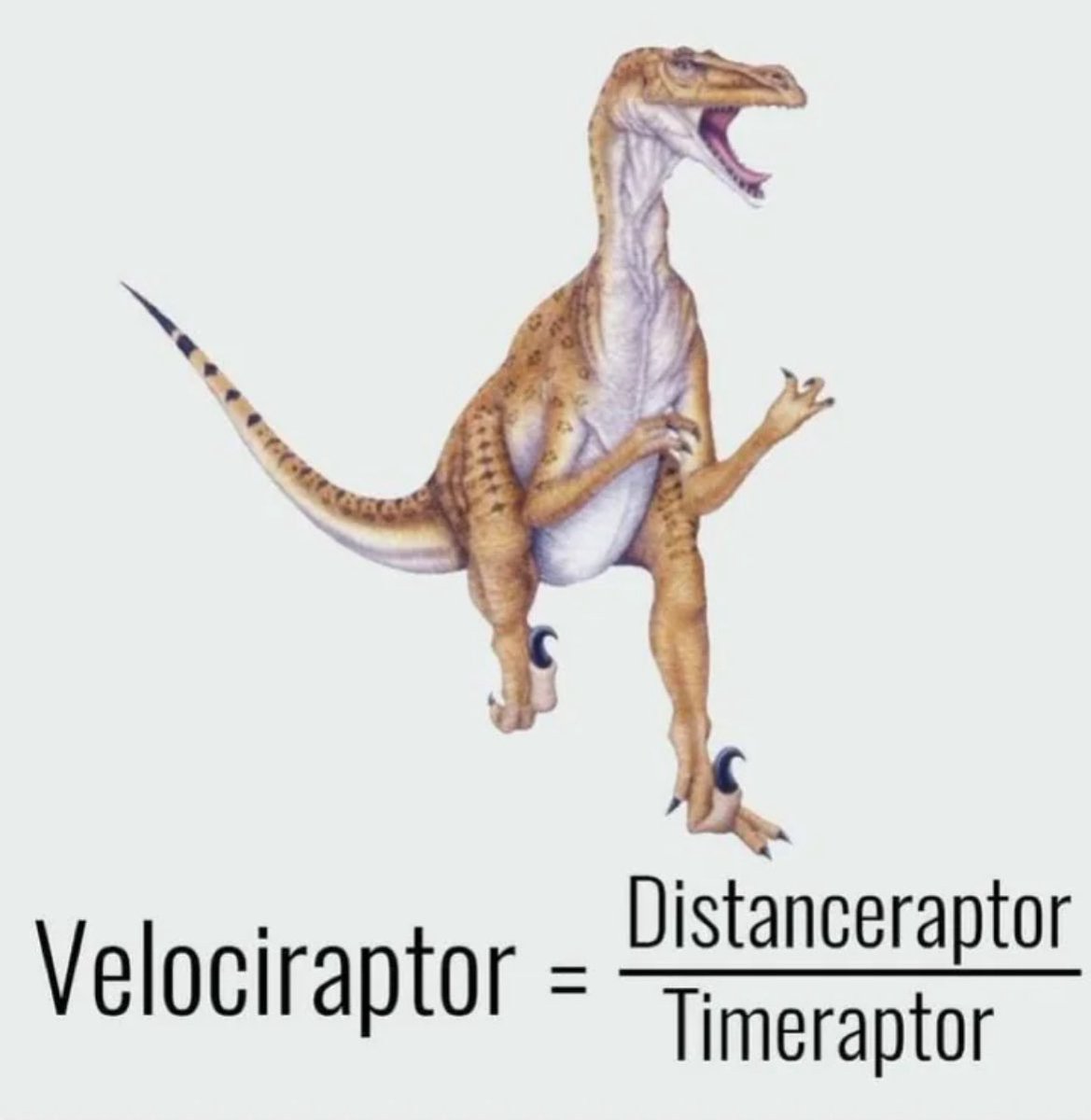 Science Is Fun tweet media