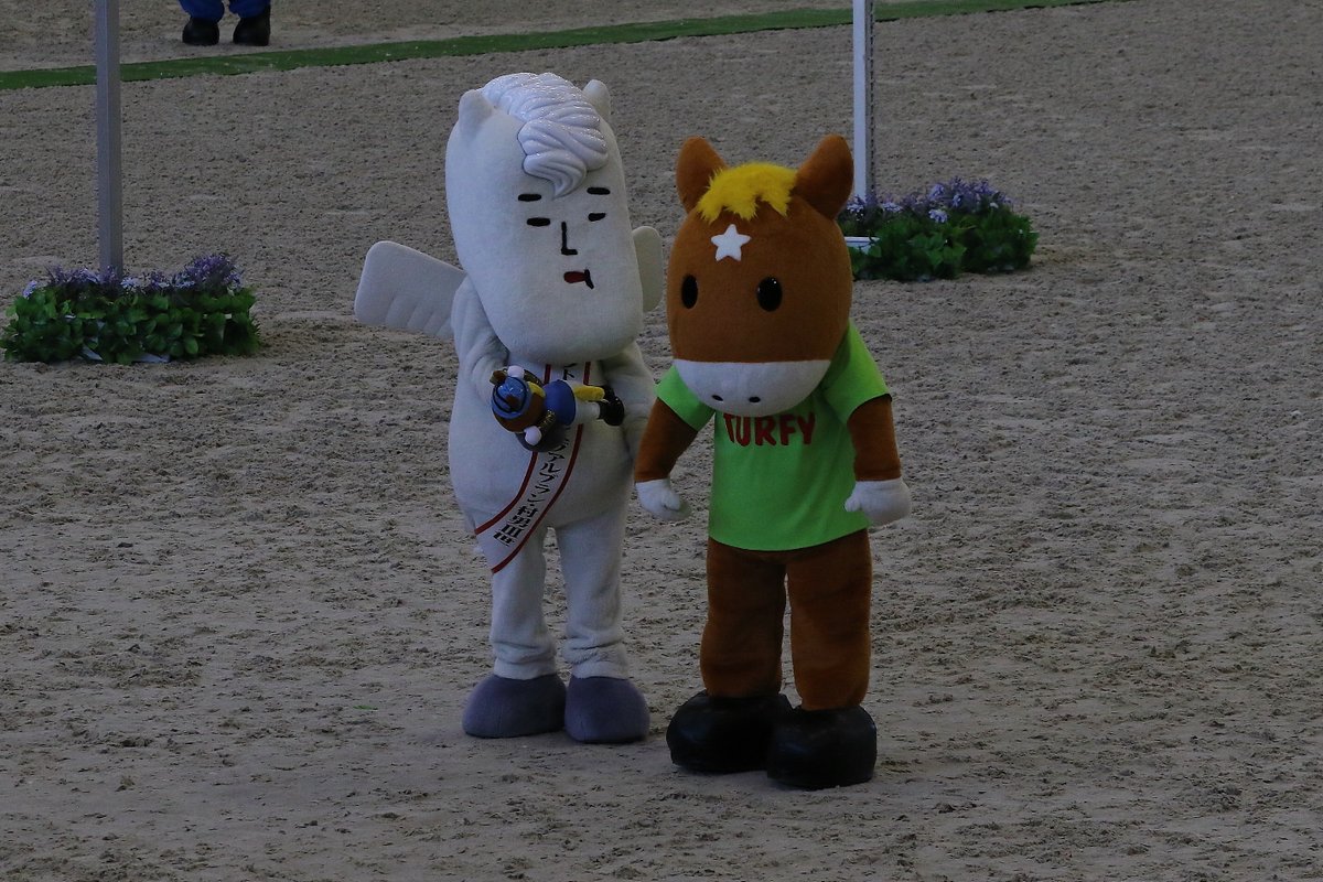 mayumi ide tweet media