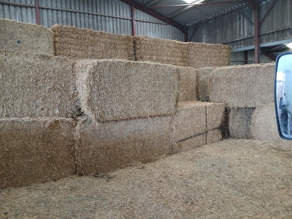 Daniel Roberts tweet media