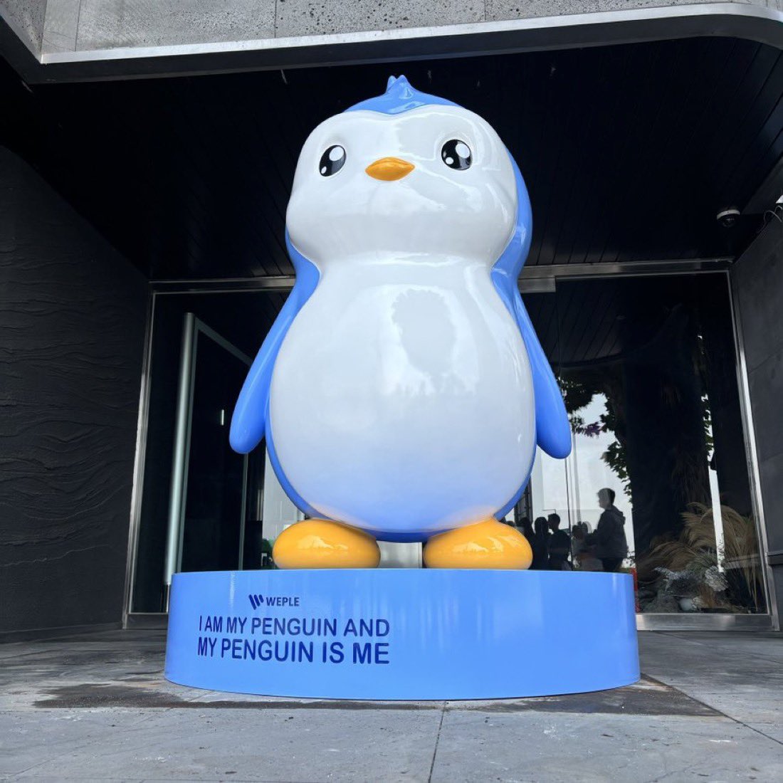 PENGU Asia tweet media