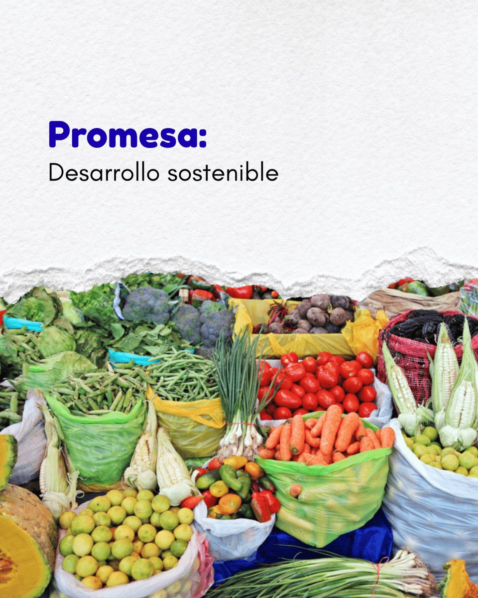 RedGE Perú tweet media