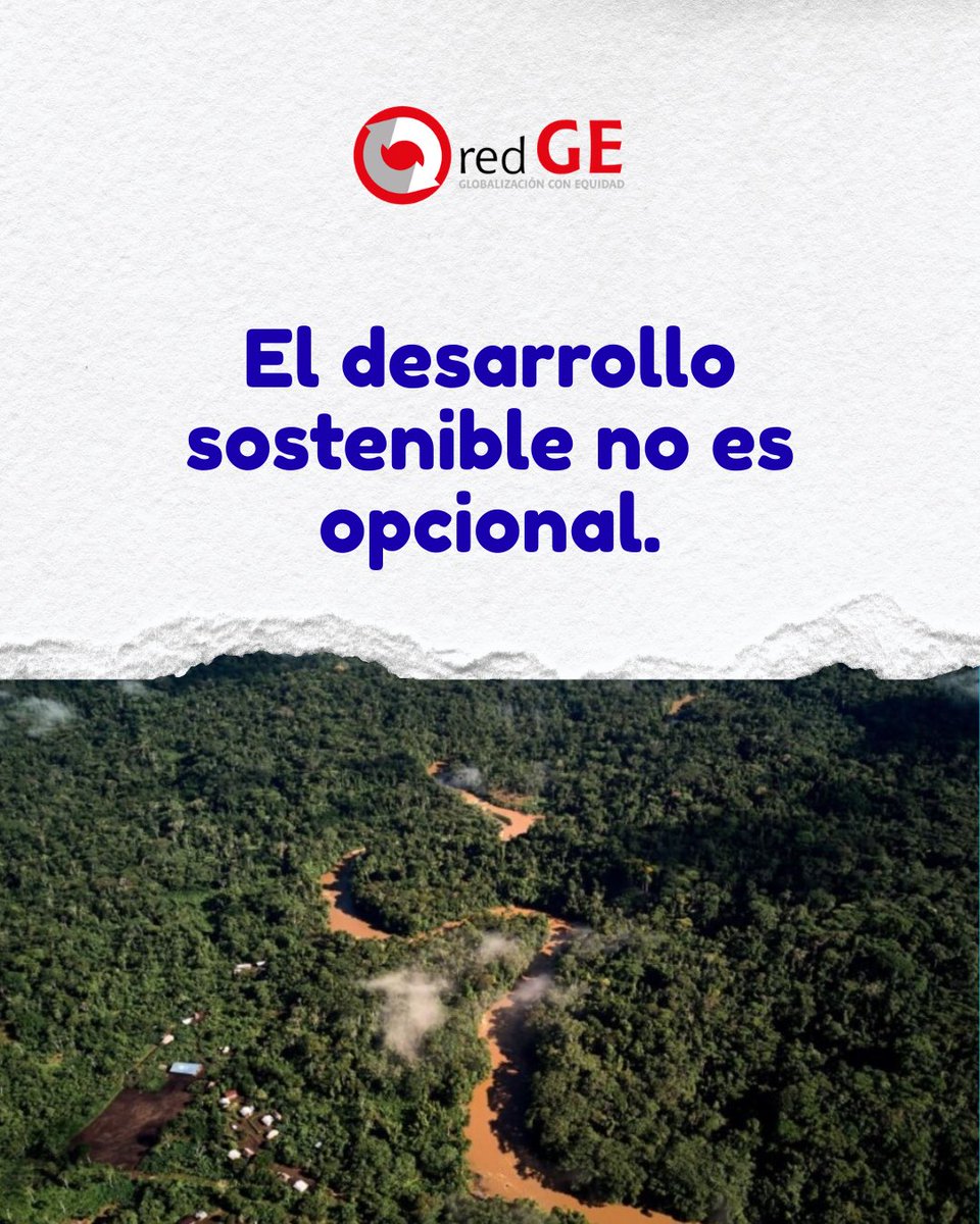 RedGE Perú tweet media