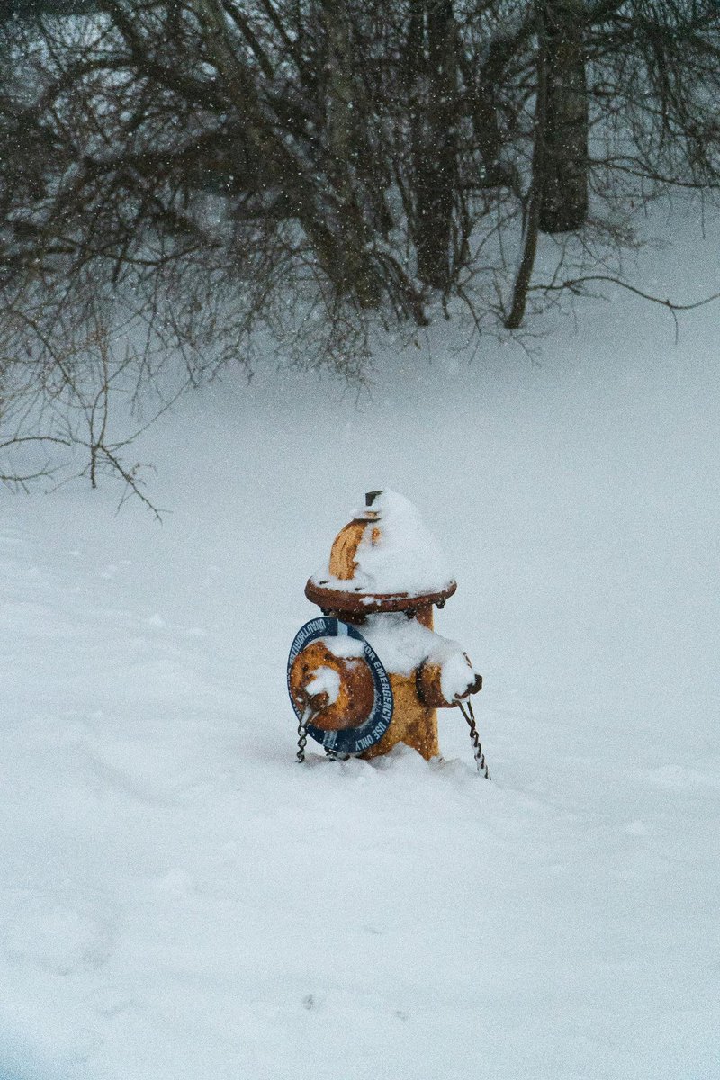 City of Cambridge tweet media