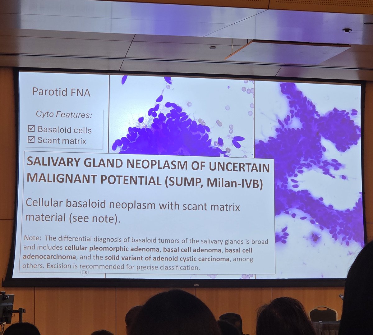 Jaclyn Rudzinski, MD tweet media