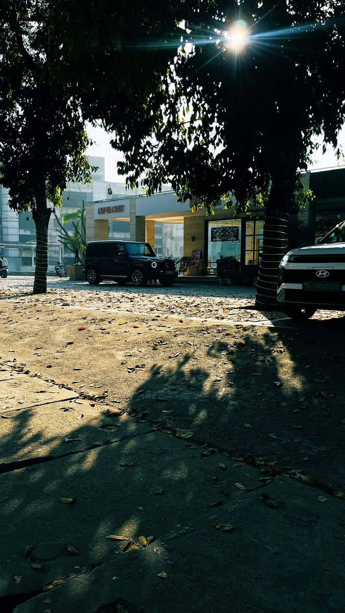 February: when leaves turn poets.🍂