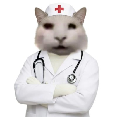 AAA肛肠科玫瑰批发猫主任 tweet media