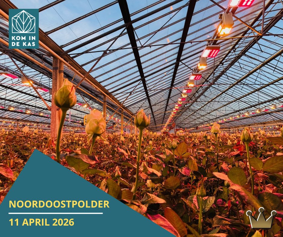 🌹 Kom in de Kas bij Bernhard Roses! 🌹

Op zaterdag 11 april doet <a href="/Bernhardplanten/">Kwekerij Bernhard</a> #Roses aan de Oosterringweg 26 in #Luttelgeest mee aan #KomindeKas #Noordoostpolder.

🕙 De kas is geopend van 10.00 tot 16.00 uur.
Kom een kijkje nemen achter de schermen.