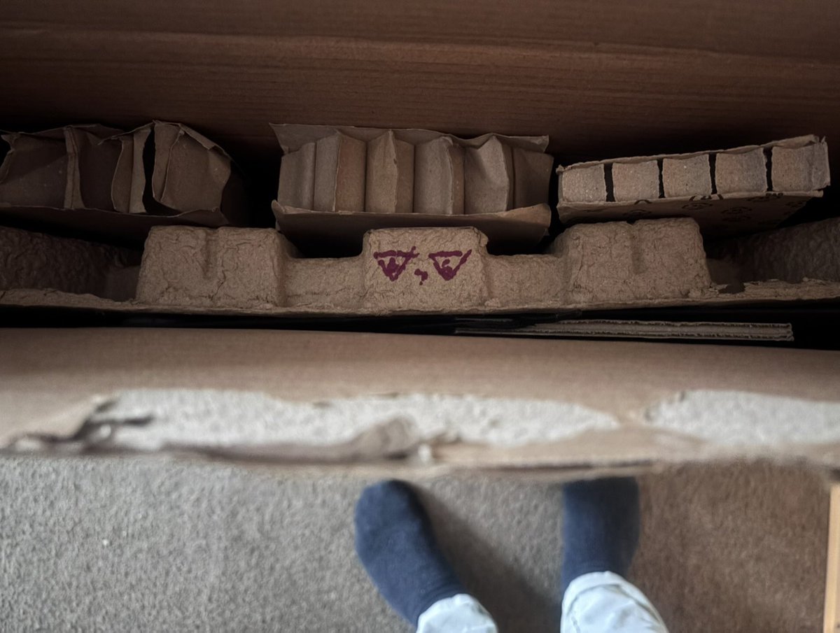 「Patrician」 tweet media