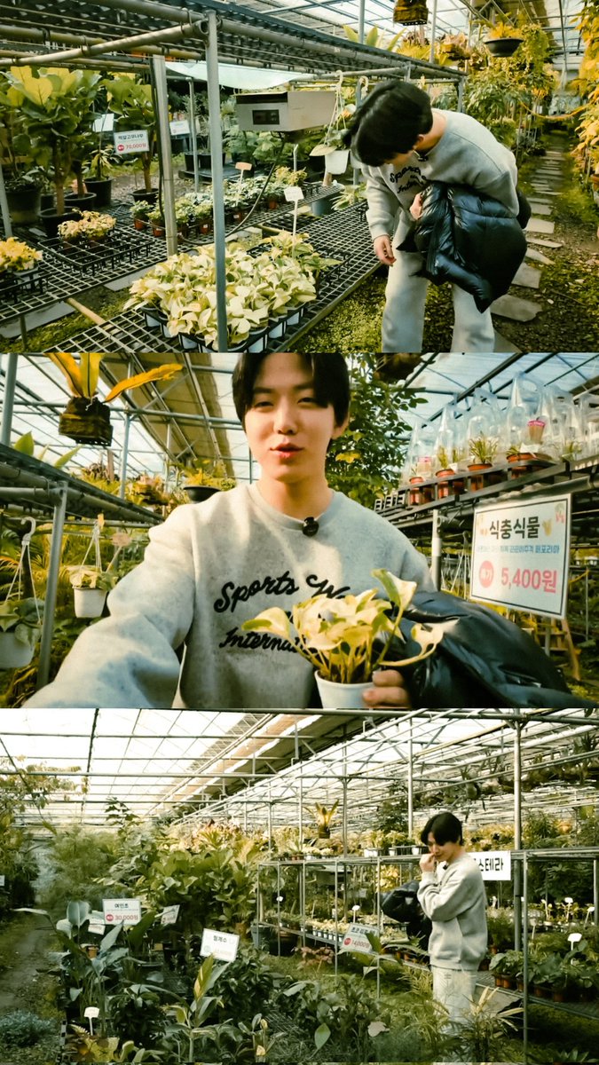 Dowoon
#Day6 #Dowoon #데이식스 #도운