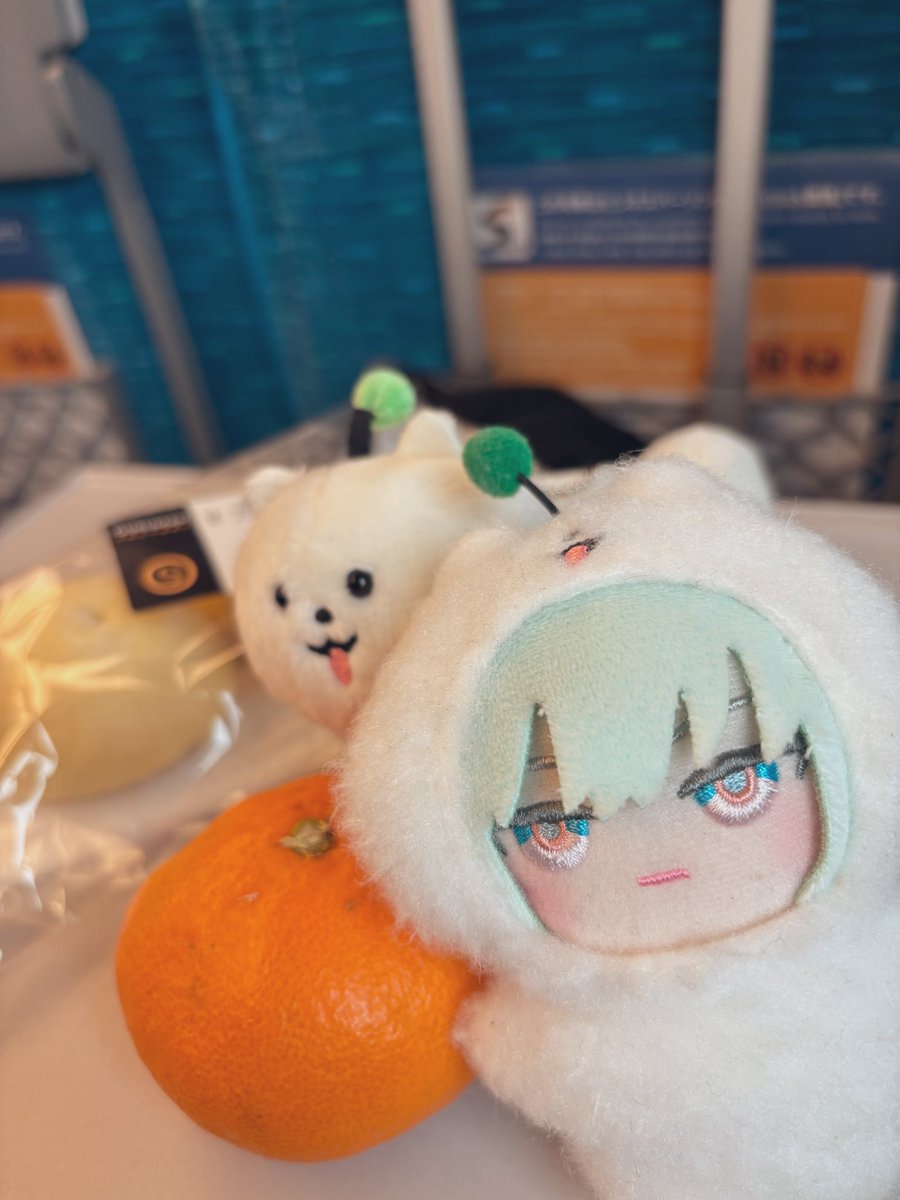 ode____n__san's tweet photo. 🍊🤍🤖
#エイトリぬい https://t.co/AGJ6qoIvMq