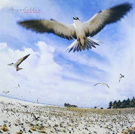 Divorced DILF (Aka Vollug) 🇵🇸 tweet media