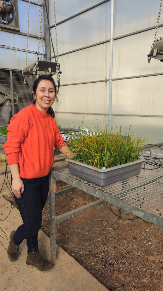 Emel Ören, PhD🍄🌳🧫🔬👩🏻‍🔬🧬 tweet media